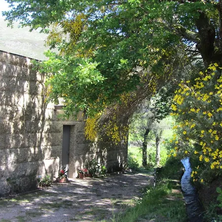 Campo Tamanqueiro